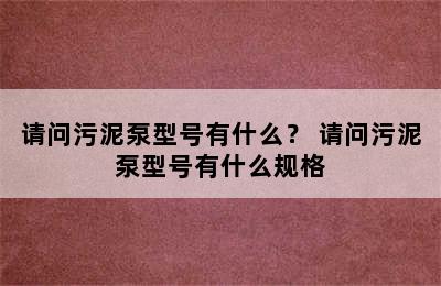 请问污泥泵型号有什么？ 请问污泥泵型号有什么规格